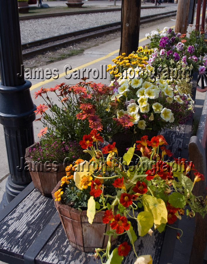 Rail Cart Skagway