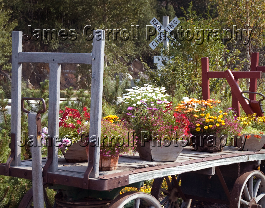 Skagway Cart